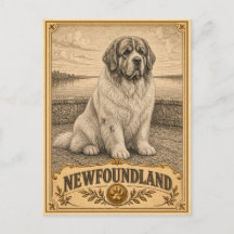 Newfoundland, Vintage Heritage Hond