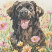 Newfoundland Watercolor Sticker (Voorkant)