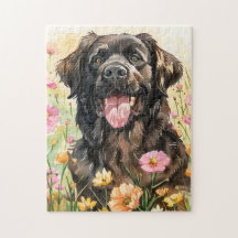 Newfoundland-waterverfpuzzel