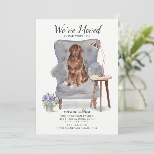 Newfoundland We hebben een bewegende aankondiging (Staand voorkant)