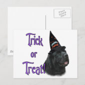 Newfoundland (zwart) Trick Briefkaart (Voorkant / Achterkant)