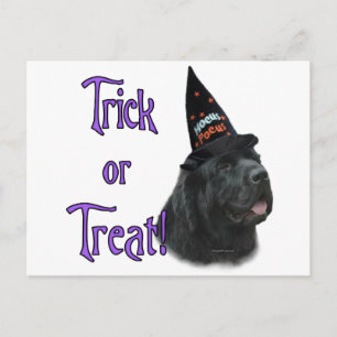 Newfoundland (zwart) Trick Briefkaart
