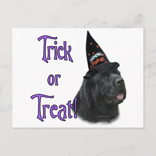 Newfoundland (zwart) Trick Briefkaart (Voorkant)