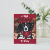 Newfoundlander    briefkaart (Staand voorkant)