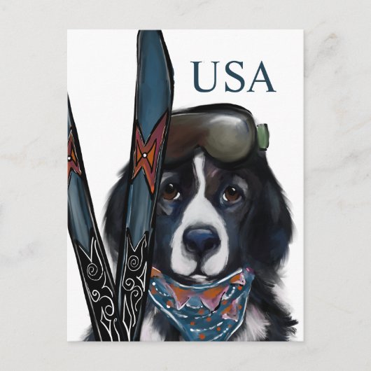 NEWFOUNDLANDER  BRIEFKAART (Voorkant)