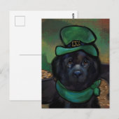 Newfoundlander     briefkaart (Voorkant / Achterkant)