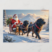 Newfoundlander Christmas Card Feestdagenkaart (Voorkant)