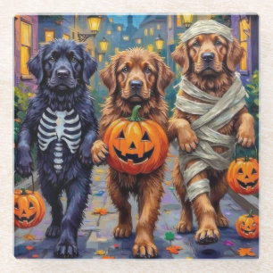 Newfoundlander Halloween Kostuums voor Trick-or-Tr Glazen Onderzetter