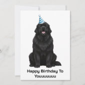Newfoundlander: Happy Birthday voor Youuuu Kaart (Voorkant)