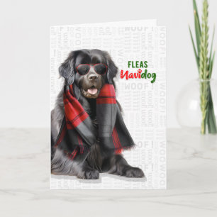 Newfoundlander Hond Grappige Vlooien Navidog Kerst Feestdagen Kaart