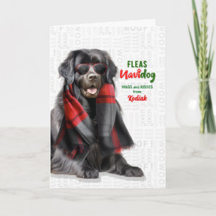 Newfoundlander Hond Grappige Vlooien Navidog met N Feestdagen Kaart