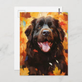 Newfoundlander hond Herfst Thanksgiving  Briefkaart (Voorkant / Achterkant)