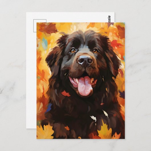 Newfoundlander hond Herfst Thanksgiving  Briefkaart (Voorkant / Achterkant)