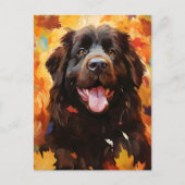 Newfoundlander hond Herfst Thanksgiving  Briefkaart (Voorkant)