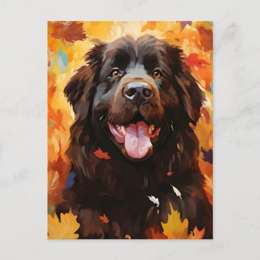 Newfoundlander hond Herfst Thanksgiving  Briefkaart (Voorkant)