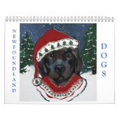 NEWFOUNDLANDER HOND KALENDER (Hoes)