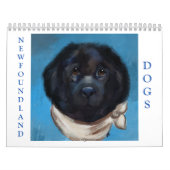 NEWFOUNDLANDER HOND KALENDER (Hoes)