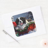 Newfoundlander Hond Kerst Festiviteit Vierkante Sticker (Envelop)