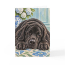 Newfoundlander Hond Wenskaart Chinoiserie