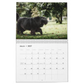 Newfoundlander Kalender (Mar 2027)