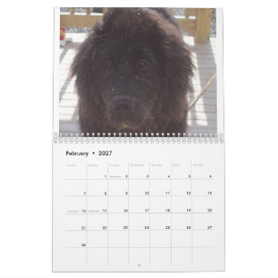 Newfoundlander Kalender