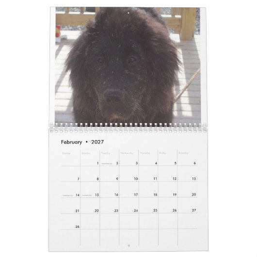 Newfoundlander Kalender (Feb 2027)