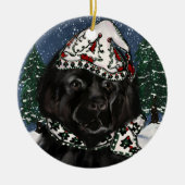 Newfoundlander  keramisch ornament (Voorkant)