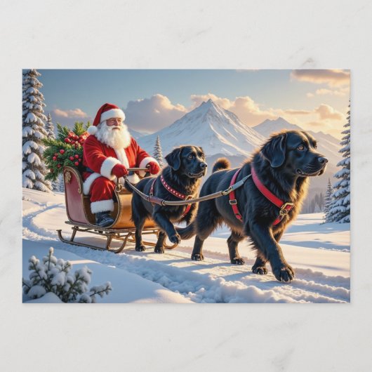 Newfoundlander Kerstkaart (Voorkant)