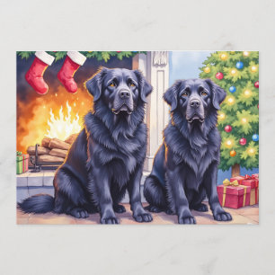 Newfoundlander Kerstkaart