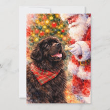 Newfoundlander Kerstkaart - Met Kerstman