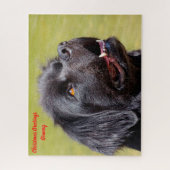 Newfoundlander. Legpuzzel (Verticaal)