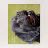 Newfoundlander. Legpuzzel (Verticaal)