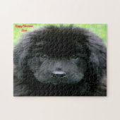 Newfoundlander. Legpuzzel (Horizontaal)