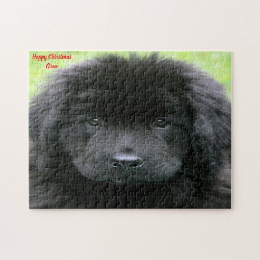 Newfoundlander. Legpuzzel (Horizontaal)
