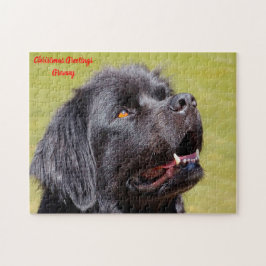Newfoundlander. Legpuzzel