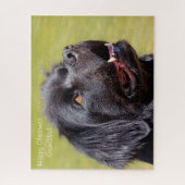 Newfoundlander. Legpuzzel (Verticaal)
