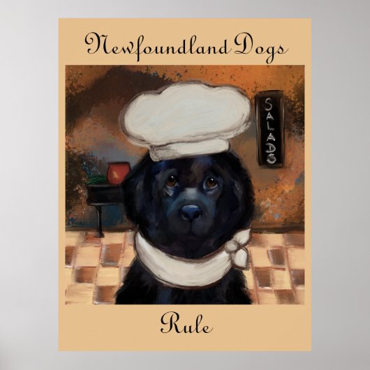 Newfoundlander Poster (Voorkant)