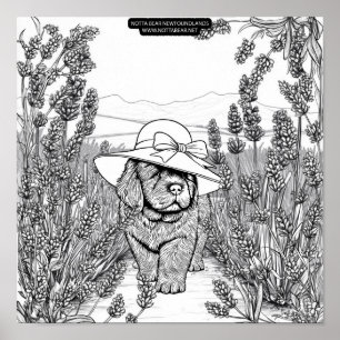 Newfoundlander Puppyp Hond in een Lavendel Bloemen Poster