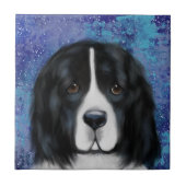 Newfoundlander Tegeltje (Voorkant)