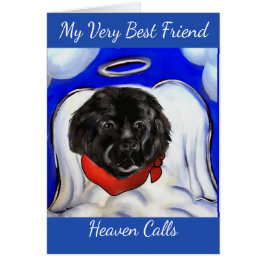 Newfoundlandhond