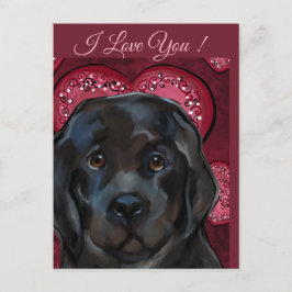 Newfoundlandhond   briefkaart