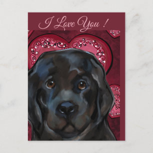 Newfoundlandhond briefkaart
