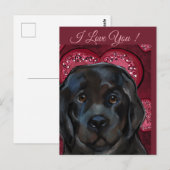 Newfoundlandhond   briefkaart (Voorkant / Achterkant)