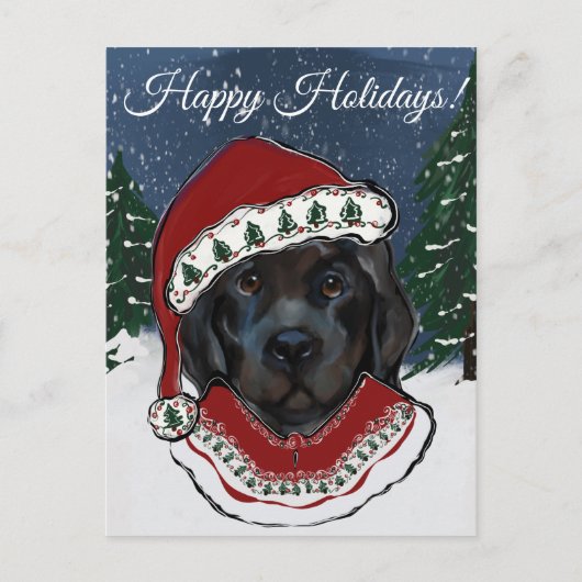 Newfoundlandhond   briefkaart (Voorkant)