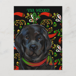 Newfoundlandhond   briefkaart