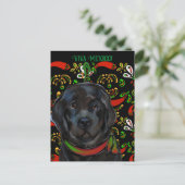 Newfoundlandhond   briefkaart (Staand voorkant)