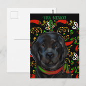 Newfoundlandhond   briefkaart (Voorkant / Achterkant)