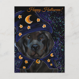 Newfoundlandhond   briefkaart