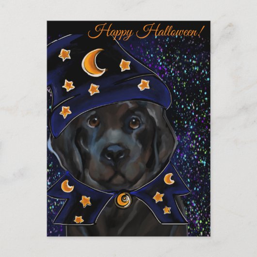 Newfoundlandhond   briefkaart (Voorkant)