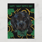 Newfoundlandhond briefkaart (Voorkant)